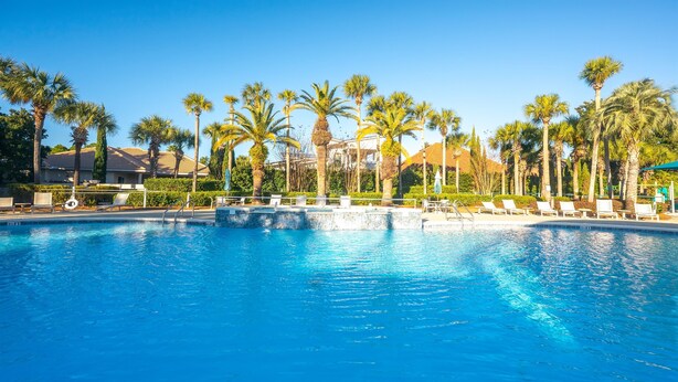 Ein Pool mit klarem, blauem Wasser, umgeben von Palmen und Liegestühlen.