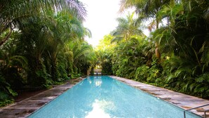 Piscina retangular com águas azul-claras, rodeada por vegetação exuberante e palmeiras.