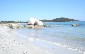 Nära stranden