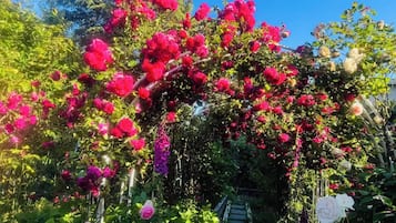 A garden with a variety of flowering plants and a stone staircase.