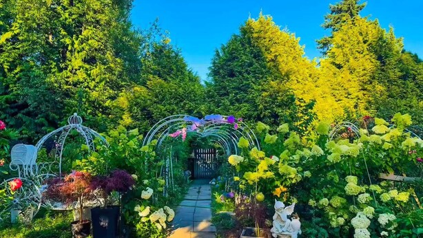 A garden pathway with a metal archway, surrounded by lush greenery and flowering plants. - Cozy 3BR Villa Garden View Beach (Surrey)