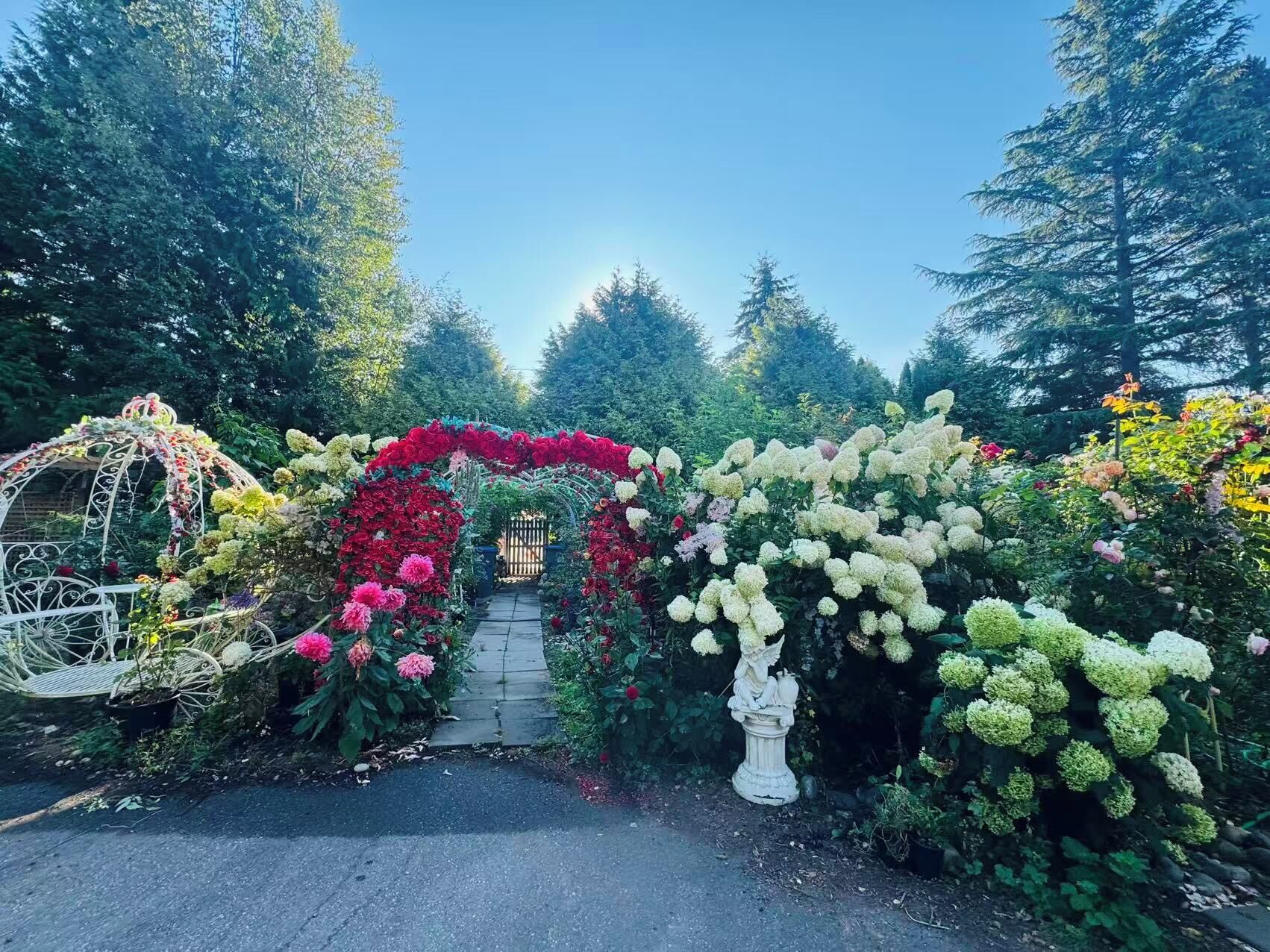 Un jardin agrémenté d’une arche décorative, d’une statue et de diverses plantes.