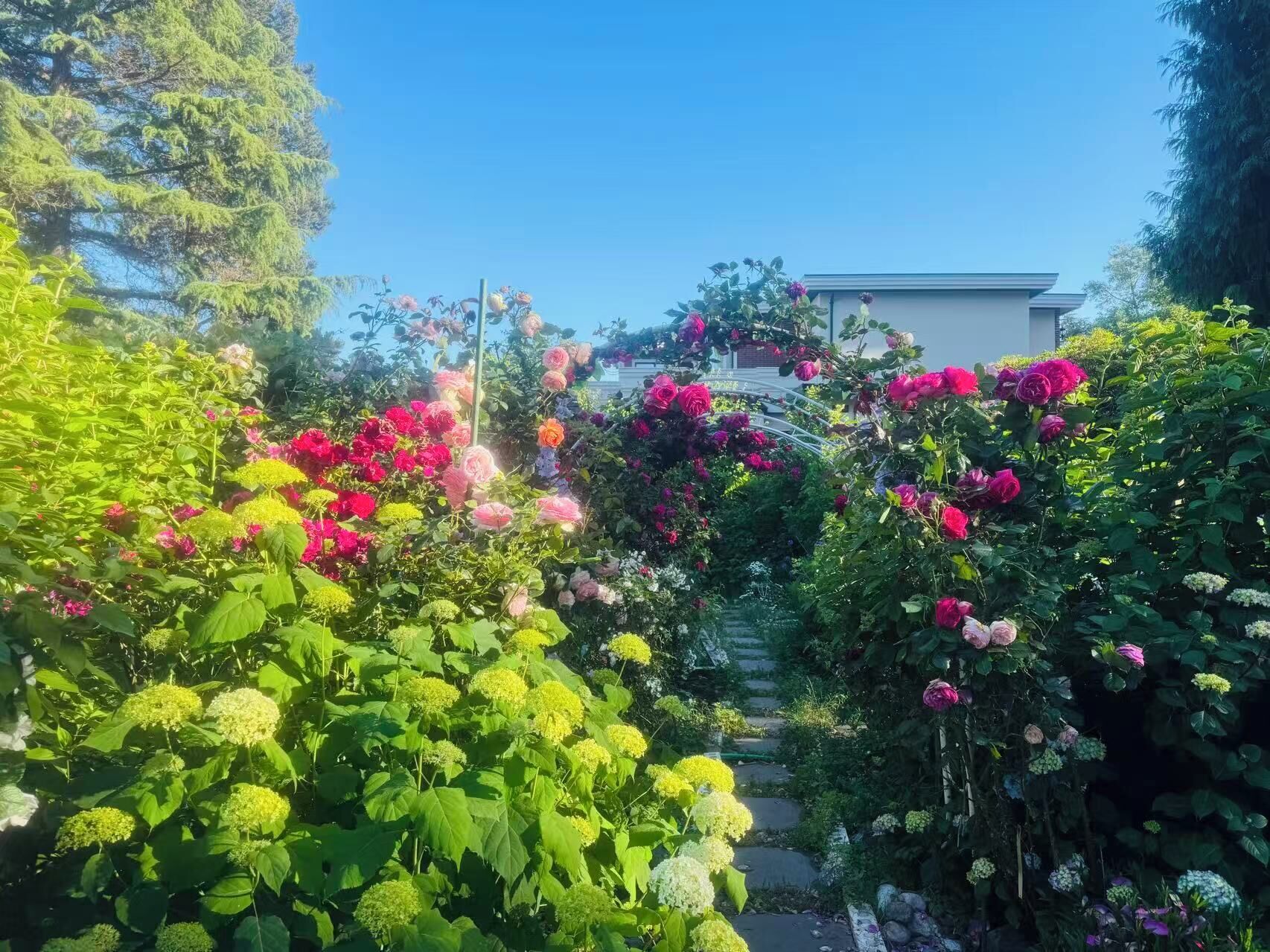 Um jardim com caminho de pedra, vegetação exuberante e plantas floridas.