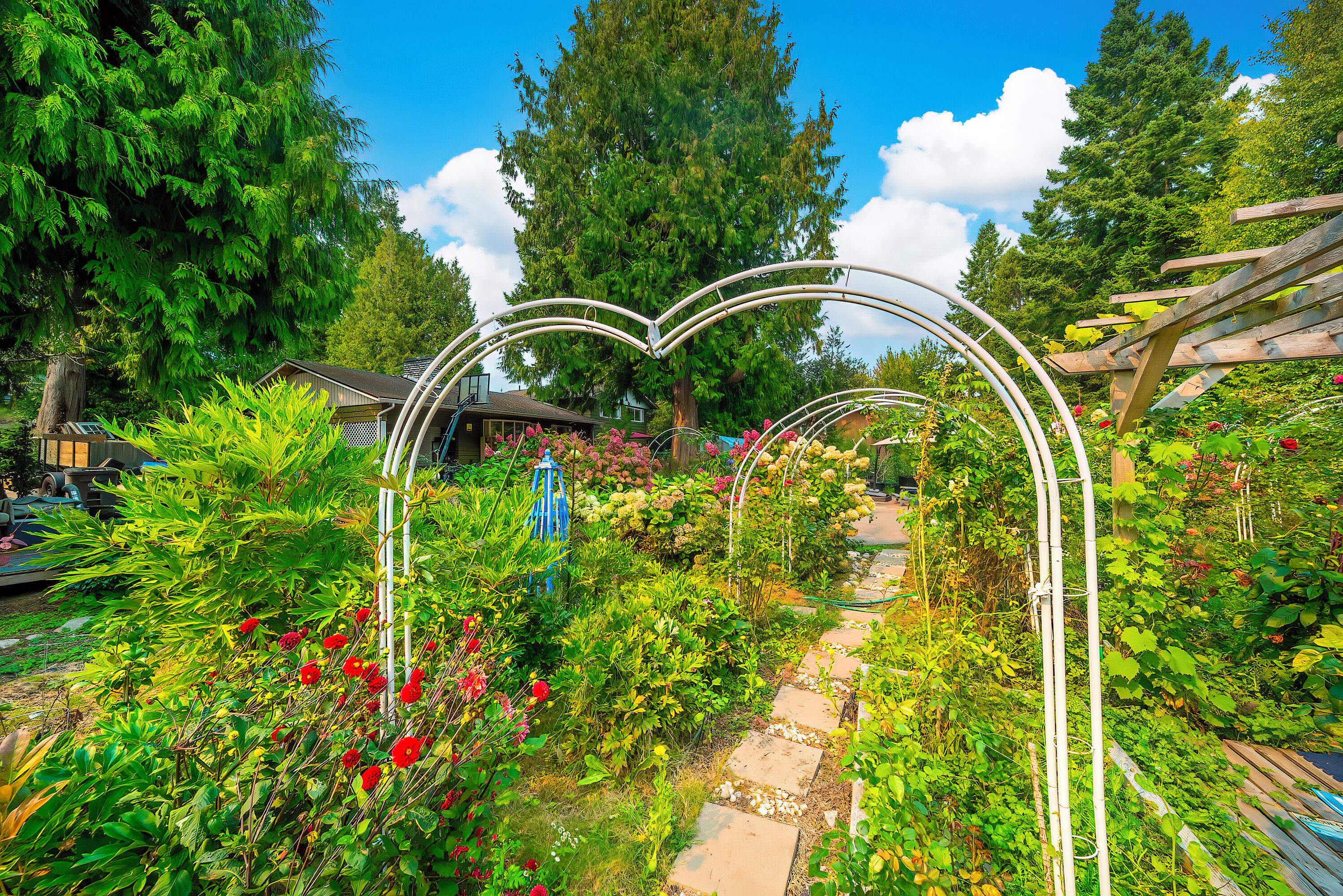 Un vialetto in giardino con un arco a forma di cuore, circondato da vegetazione lussureggiante e diverse piante.