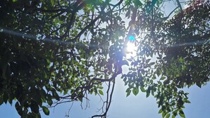 Property grounds - House 5 minutes away from the beach in Guanacaste (La Cruz)