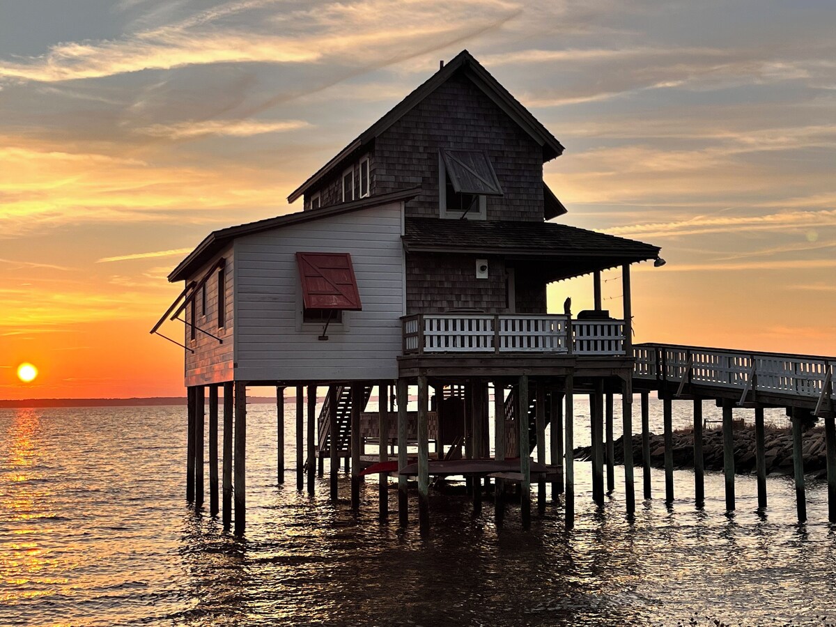 Imagen de perfil del propietario o de la propietaria