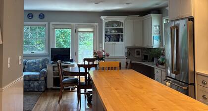 Charming Burns Park home, three bedroom, three bath, walk to campus, large deck