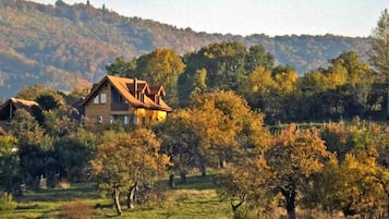 Extérieur