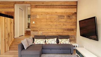 TV connectée, cheminée, jeux vidéo, livres