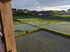 Property grounds - "Mangs Sawah View" by Interhome (Kabupaten Gianyar)