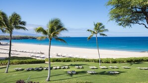 A beach resort with a clear view of the ocean, rows of sun loungers, and palm trees.