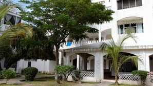 Un edificio blanco con un patio cubierto, columnas y un árbol grande.