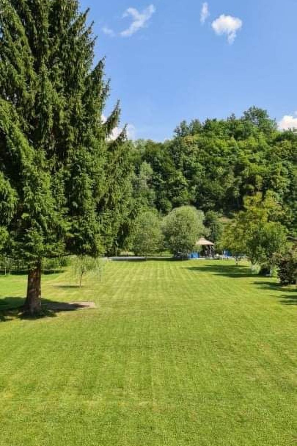 Ein gepflegtes Grasfeld mit einem großen Baum links und einem bewaldeten Hügel im Hintergrund.