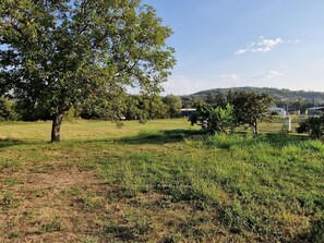 المنطقة المحيطة بالمنشأة