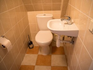 A small bathroom with a toilet, sink, and toilet paper. - Fuchsbau in Waldnähe by Interhome (Kuldiga)