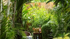 A garden pathway with a table and decorative items, surrounded by lush greenery. - "Casa Meloso" mit eigenem Pool by Interhome (Huacas)