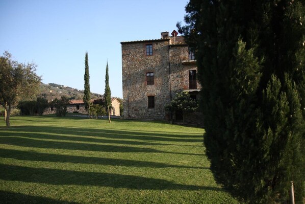 View from property - Landgut La Colombaia (Massa Marittima)