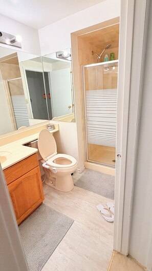 Ducha, secador de pelo, bidé y toallas