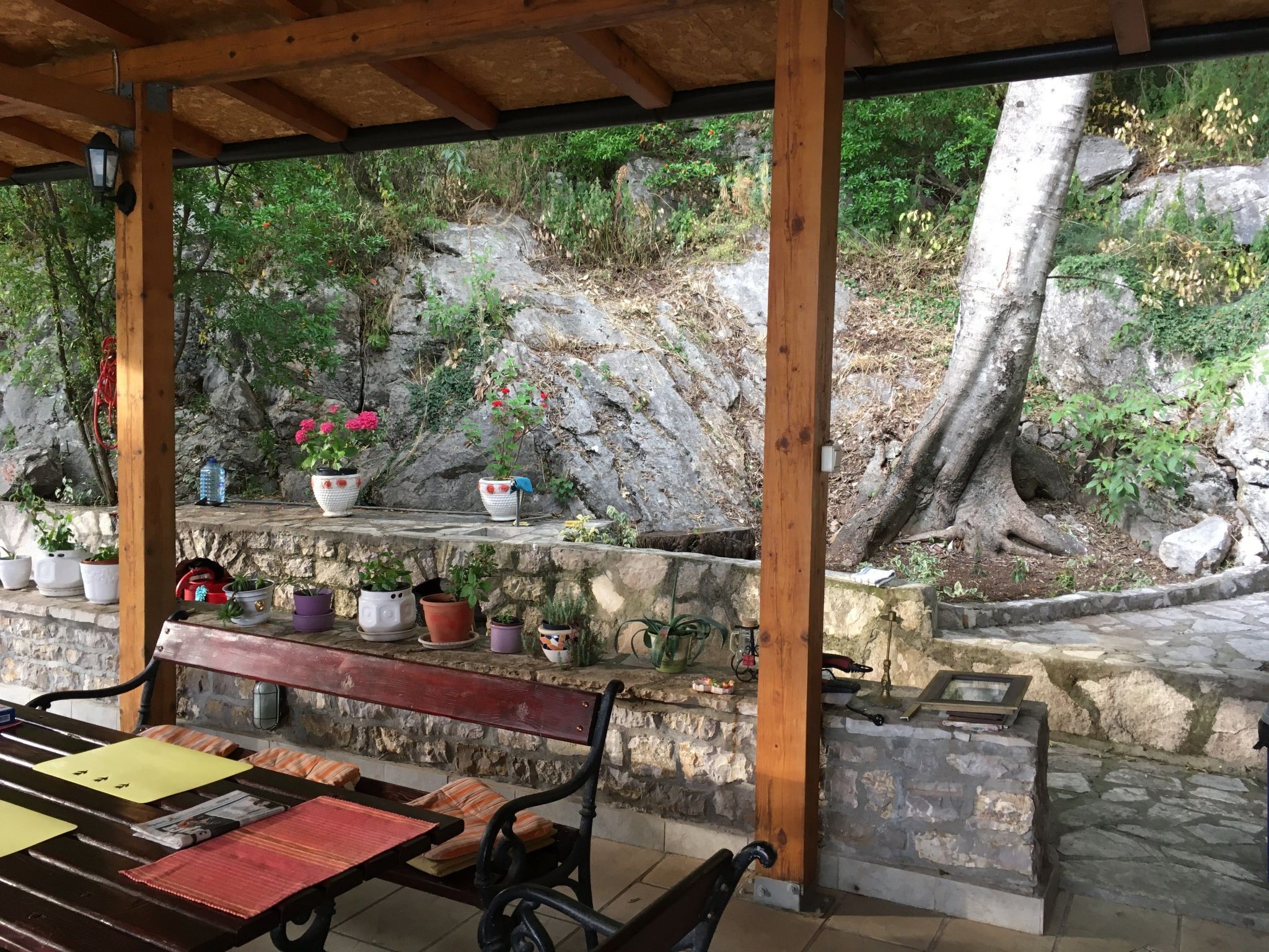 テラス / パティオ