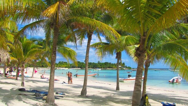 Une plage bordée de palmiers, avec une eau turquoise et limpide, et des bateaux.