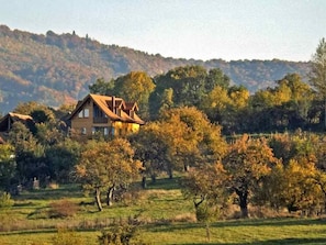 A house with a sloped roof, surrounded by trees and a hilly landscape. - Casa Zollo by Interhome (Vale)