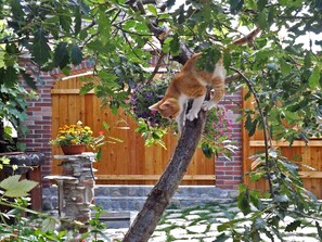 Terrain de l’hébergement 