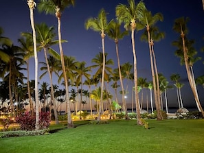 A nighttime view of a well-lit garden with tall palm trees and a grassy area. - Schöne Wohnung am Strand by Interhome (Juan Dolio)