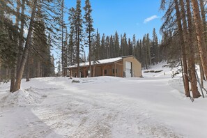 Exterior - New! Spacious, Pet friendly, with Hot Tub, Pool Table, Game Room & Basketball Court (Fairplay)