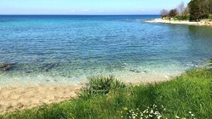 En uberørt strand med roligt vand, sandet bredde og grønt område.