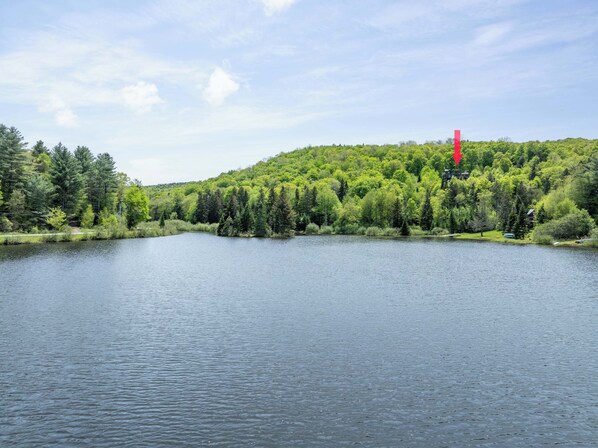 A lake surrounded by dense forest and a red structure on a hill.