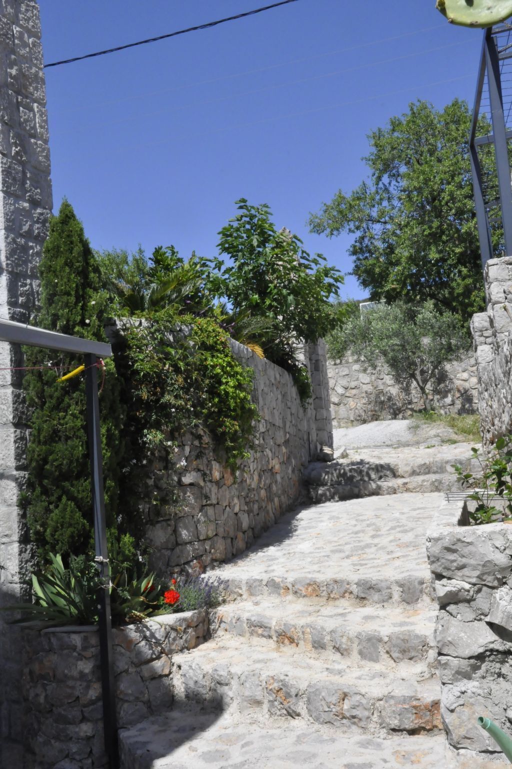 Overnattingsstedets uteområder