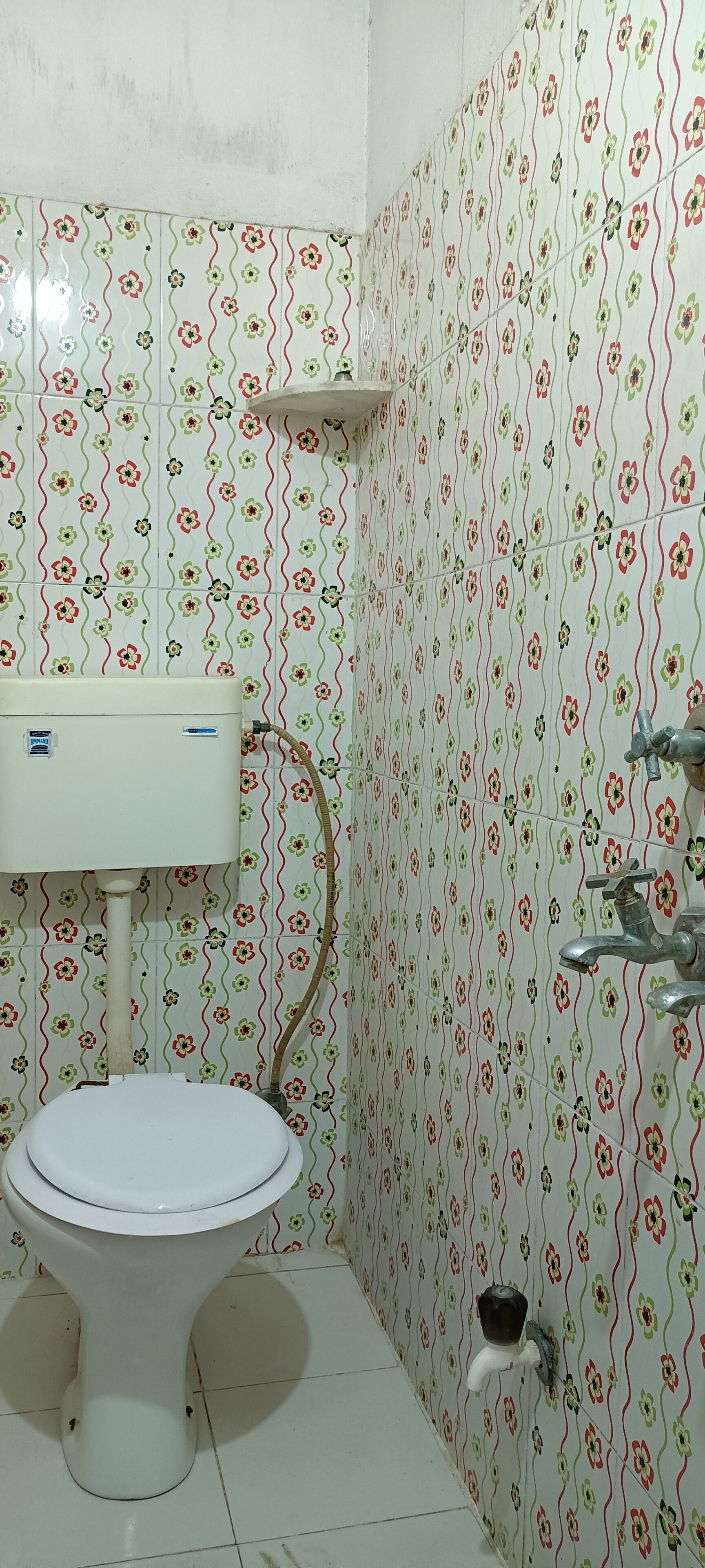A bathroom with a toilet, a sink, and a shower.