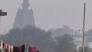 A view of a pagoda-style building with a traditional architectural design, surrounded by trees and a clear sky.