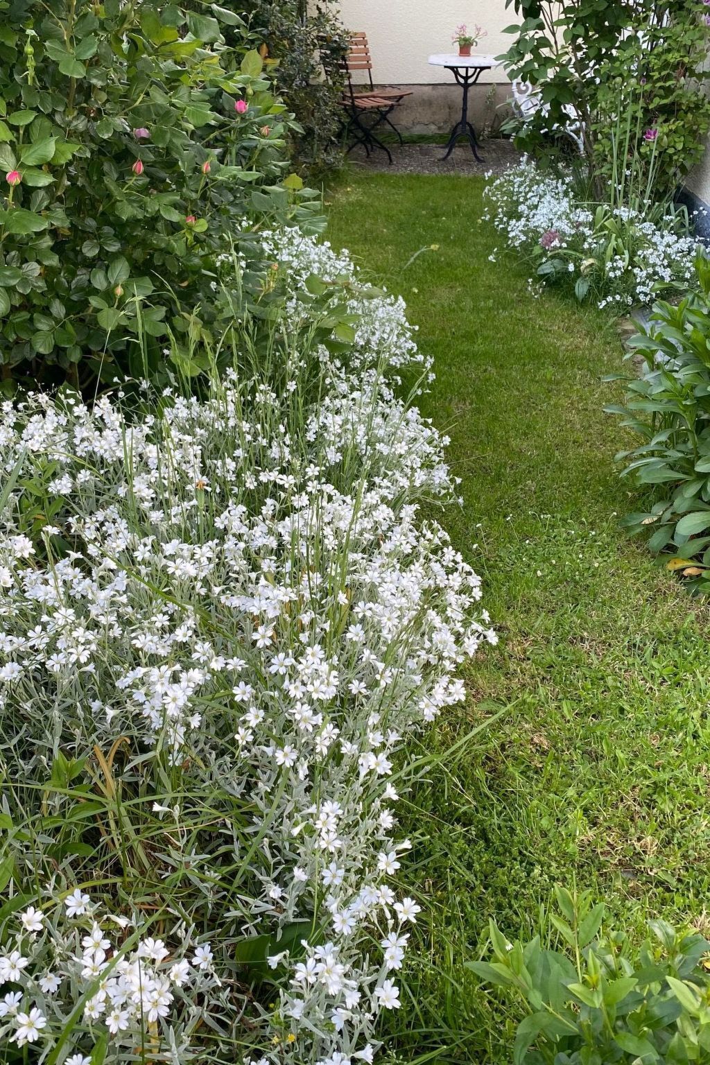 Overnatningsstedets område