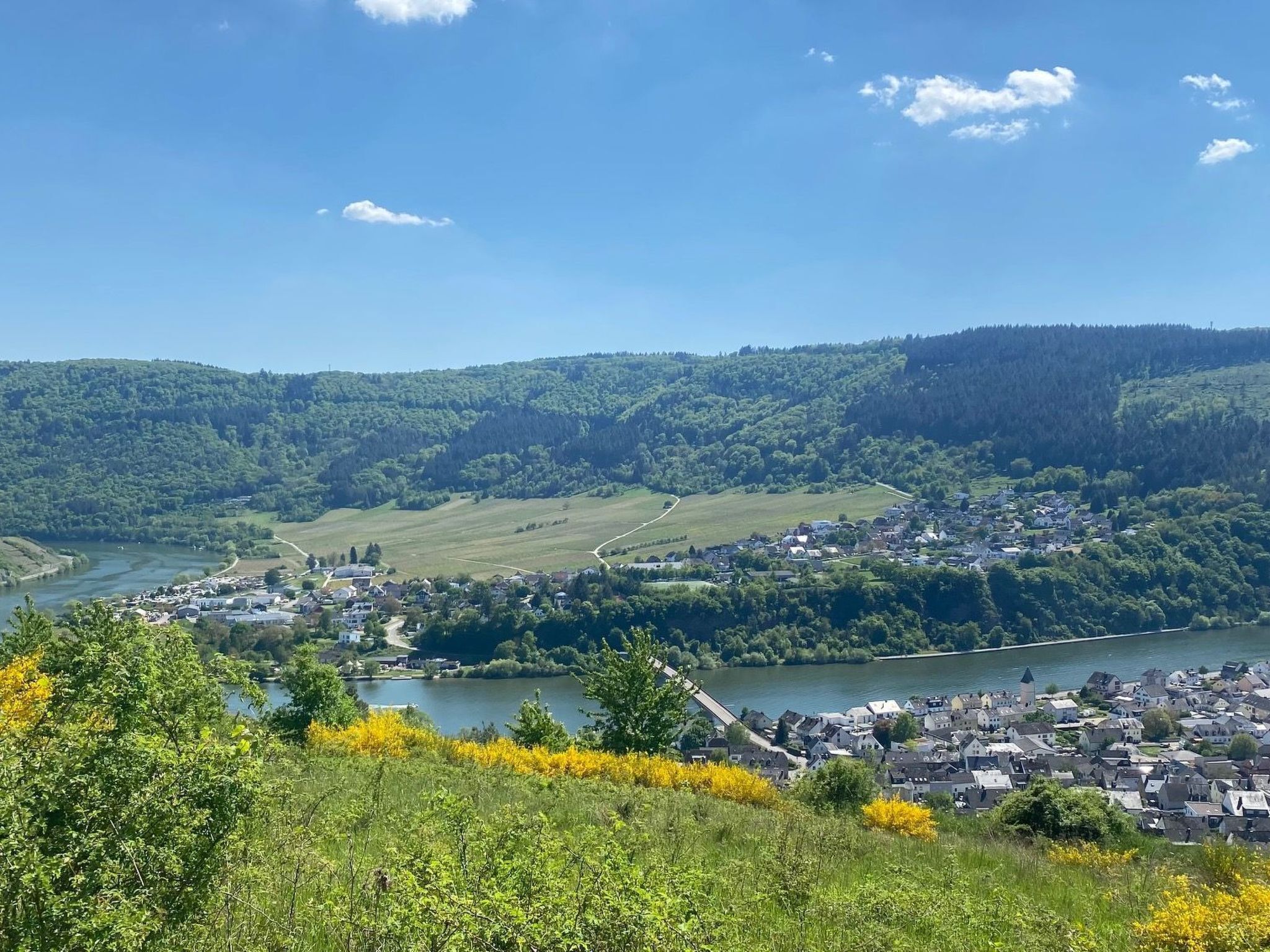 A town by a river with houses and a church.