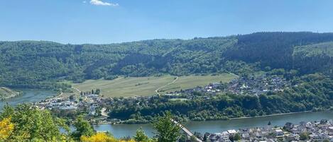 A town by a river with houses and a church.