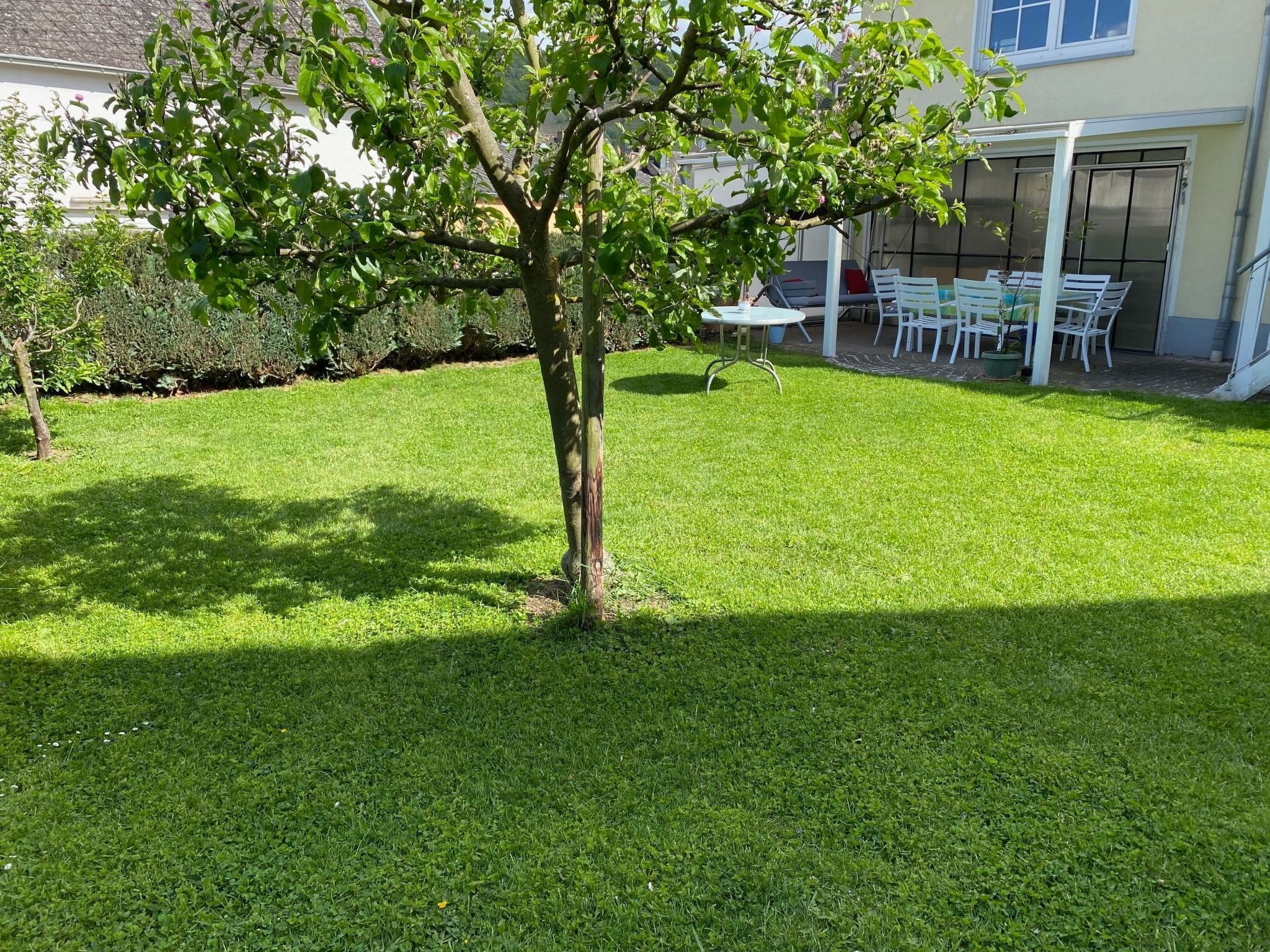 A well-maintained lawn with a small tree, a patio area with chairs, and a building in the background.