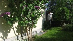 Ein Garten mit einer weißen Mauer, einem Baum mit violetten Blüten und einer Person im Hintergrund.