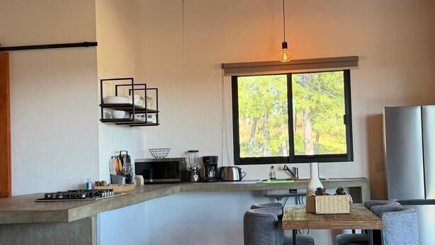 Una cocina moderna con estufa integrada, microondas y ventana con vistas a árboles.