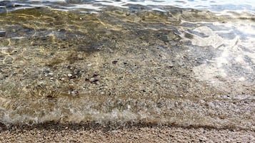 Una vista despejada de una costa rocosa con piedras y pequeños caracoles.