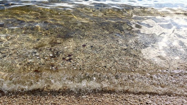 A clear view of a rocky shoreline with visible pebbles and small shells.