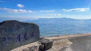 Unclassified image, 2 of 62, button
