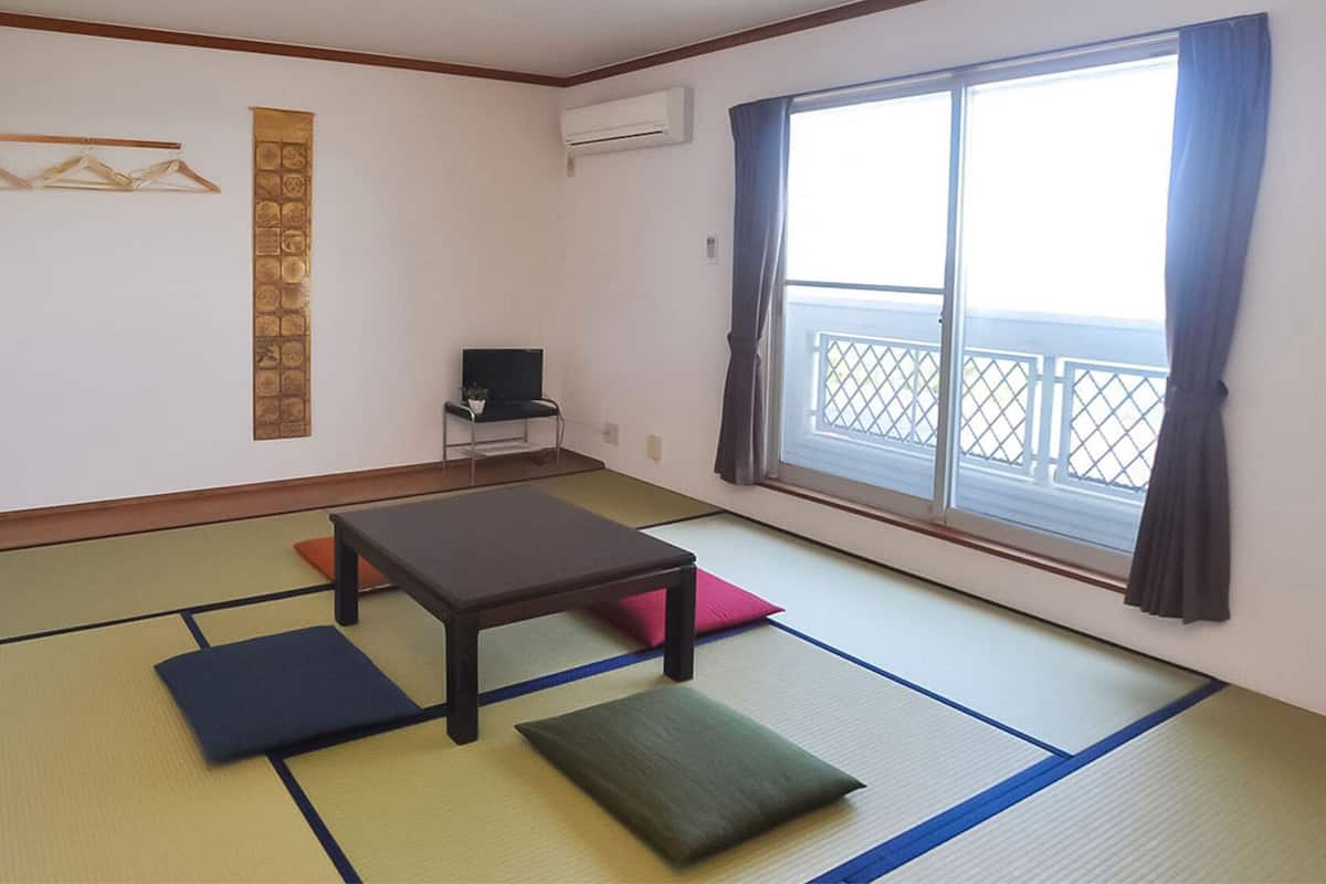 A room with tatami flooring, a low table, cushions, a TV, and a window with a view.