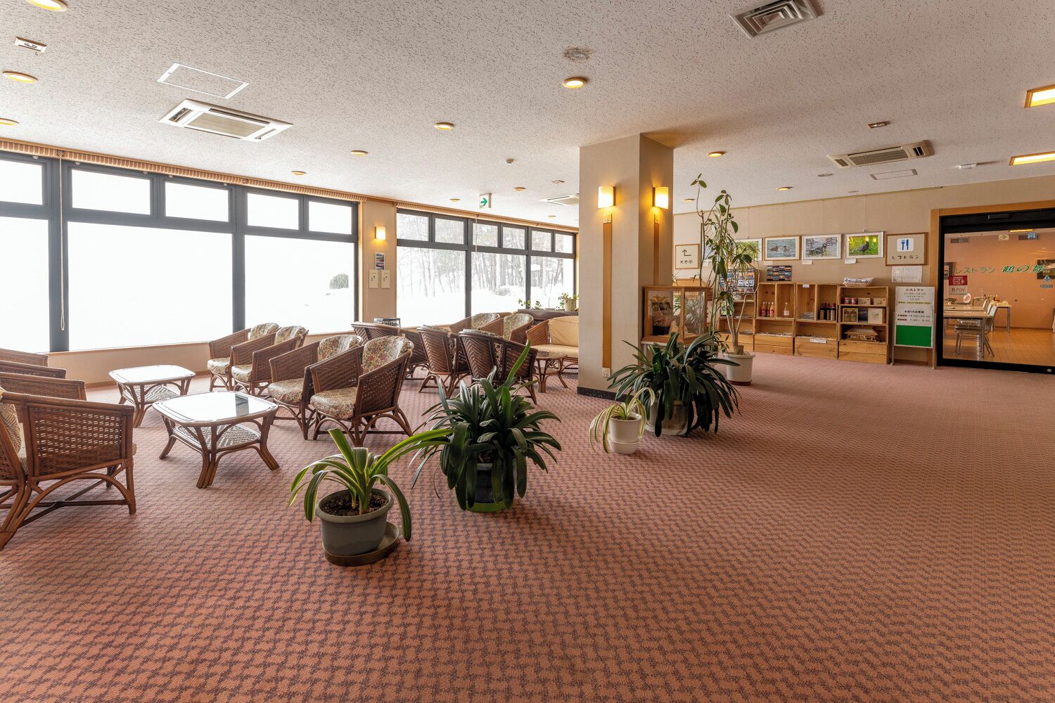 Zona interior àmplia amb mobles de vimet, plantes en testos i una recepció.