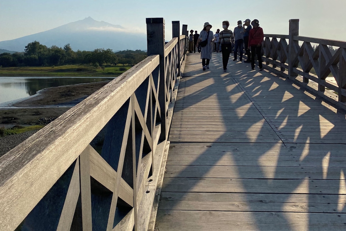 A wooden bridge with railings, leading to a body of water and a distant mountain.
