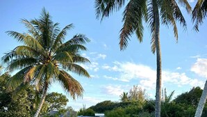 A pathway leading to a house surrounded by lush greenery and palm trees. - Fare Manini (Rimatara Island)