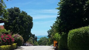 Un camino pavimentado bordeado de exuberante vegetación y un cielo azul despejado.