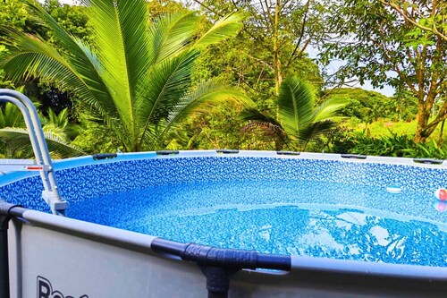 Peace of the Forest Sarapiqui