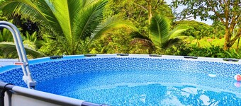 Peace of the Forest Sarapiqui