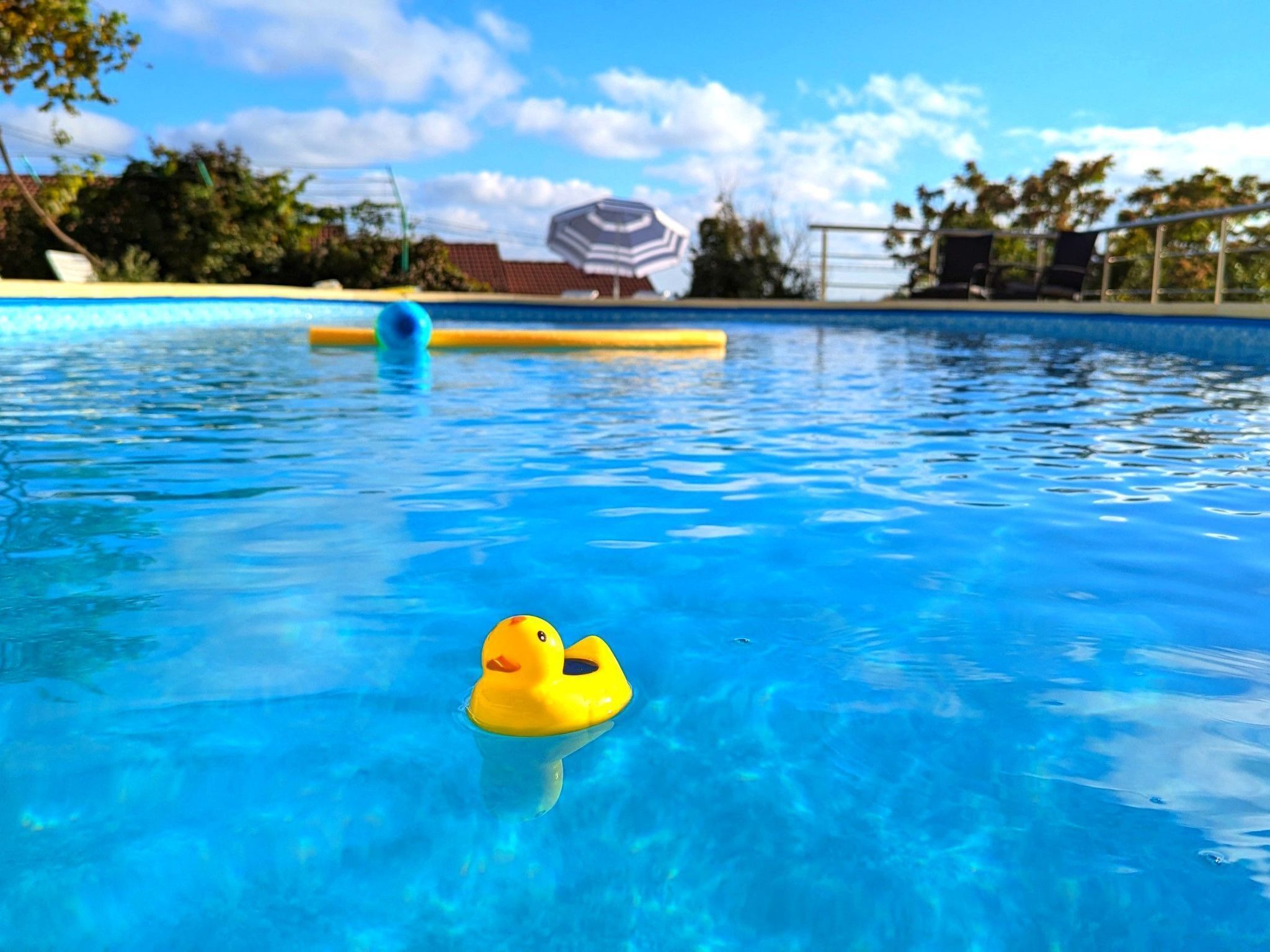 Piscine chauffée